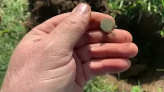 Metal Detecting with Appalachian History Detectives