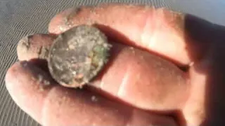 South Africa Metal Detecting