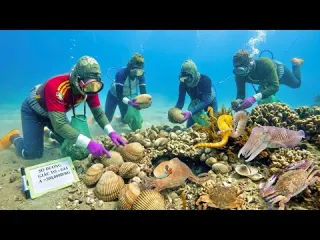 Trúng Lớn Ổ Sò Dương Giá Trị Rất Cao Mỗi Thợ Lặn Kiếm Được