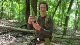 Metal Detecting Old Home Site Leads Us To The Bottle Dump