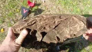 Pinpointer FAILED But This Mystery Find Saved the Day Metal