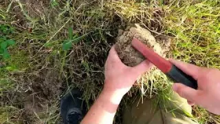 Aus DIESEM Grund ist Sondeln nix für dich Schatzsuche mit