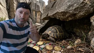 Define Ararken Birden Kaybolan Gizemli Kaplumbağa Neydi
