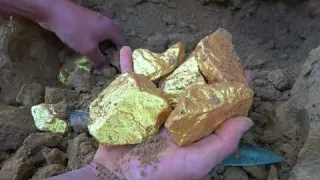 Digging in Florida for Artifacts Very Rare Occasion