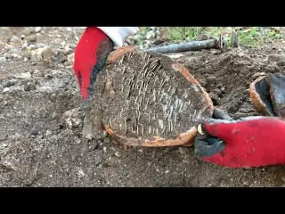 Real Treasure Discovery Caught on Camera