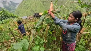village life of mountain people villagefoodkitchen