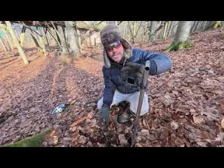 Was verlieren die Besucher eines Kletterparks Ihr werdet