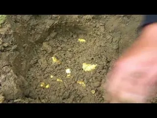 Amazing finding gold gold hunter found a lot of gold