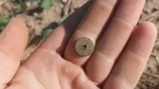 Lesní hledání pokladů Víc hub než nálezů