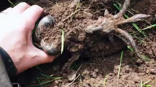 Very disturbing find