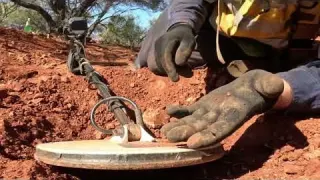 West Aussie GOLD LOADED CREEK Continues