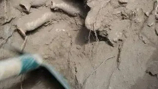 Define Aramaya Su Kenarında Başlanır