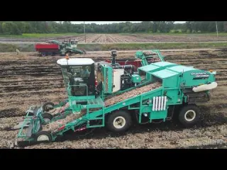 2 Onion Harvesting Machines 15 Trucks Full Onion Harvesting