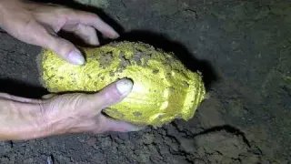 Several big gold mines were found in the cave treasure hunt