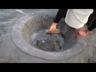 Fish Traps Balık Tuzakları İnanılmaz Fishing