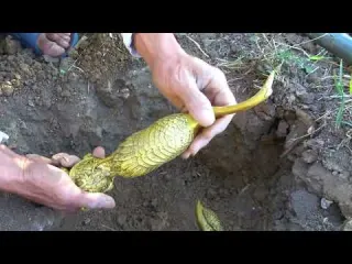 What Will My Giant Magnet Find in the River Magnet Fishing
