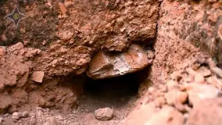 Metal Detecting an ABANDONED HOUSE Found Ancient Treasure