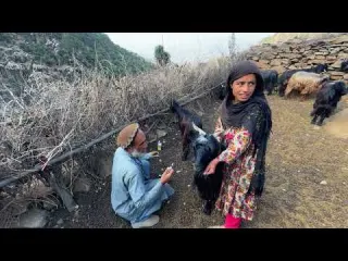 Surviving in Afghanistan s Dangerous Mountains Shepherd