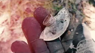 La Zona de las Rocas Gigantes Relatos de un Cazador de