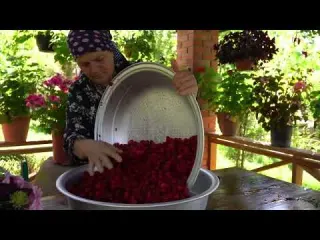 Harvesting Organic Raspberries and Winter Prep Stocking Up