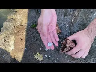 Scuba Diving for LOST TREASURE Underwater Treasure Hunt