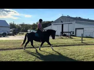 Blue ring video wet arena from rain