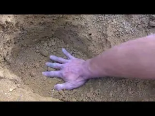 We Hunt for the Secret Treasures of Ancient Egypt for 1