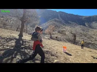 How do we survive the Zagros winter Building a nomadic