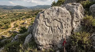Deve Define İşareti Anlamı Nedir