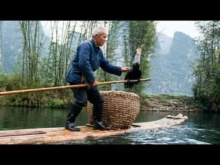 China The last masters of Cormorant