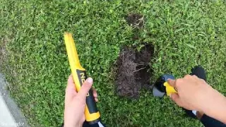 No Metal Detecting Hurricane Helene