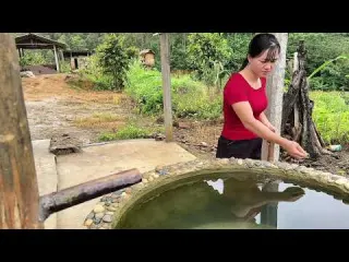 Heavy Rain and Massive Flood Destroy the Rice Fields Tiểu