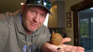 All of our BEST Finds Metal Detecting for 1 Year 2025 was a