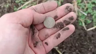 Letní rychlovka hledání skrytých pokladů