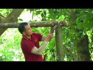 Timelapse Building a Tree House With My Dog to Survive Wild