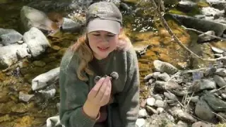 Revealing Our Mudlarking Secrets How to Find a Place to