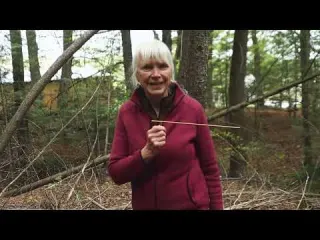 The Energy in These Woods Made This SPIN on Its Own