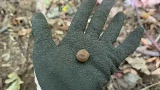 Treasure Hunt in the Italian Mountains Rare 1600 Coin and