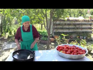 Organic Tomatoes Harvesting from Garden and Preserving