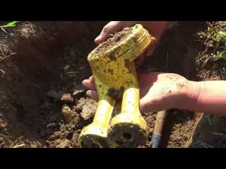 Discovering a unique treasure it s too rare to see