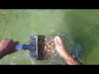 BUSCA no MAIOR LAGO do JAPÃO 金属探知機 Metal Detector