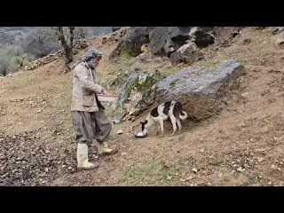 Heavy rain and flood damage to sheep shelter and unexpected
