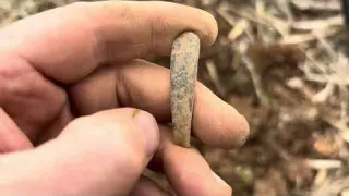 We found a Forgotten Homesite while Metal Detecting