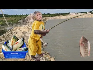 Best Funny Cutis Rickshaw Harvest Fishing Sell