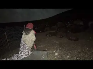 KÖPEKLER TETİKTE YAĞMUR NERDEYSE SELE DÖNÜŞTÜ