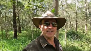 Metal Detecting WW2 Relics Coins Buttons
