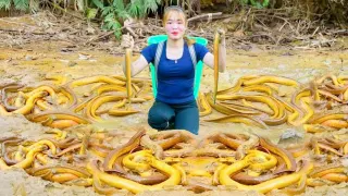 Easy Eel and Loach Trapping Method