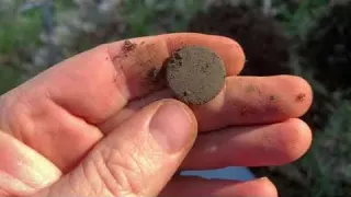 Metal Detecting 1700 s Home A BEAUTIFUL COIN Buttons