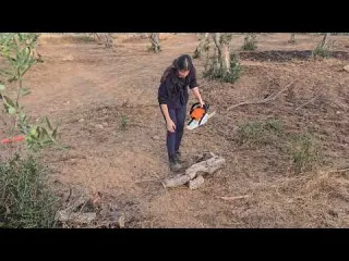 Probando la motosierra a medias con mi hermano terapia de