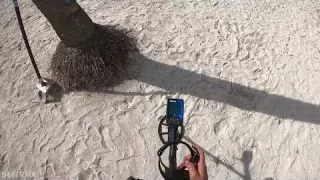 Metal Detecting Nokta Double Score